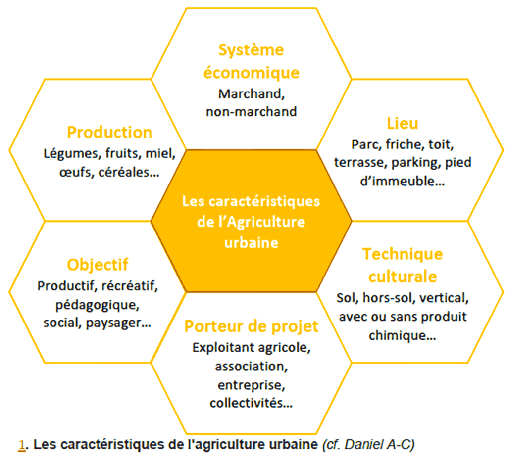 explorez les enjeux de la durabilité urbaine pour des villes plus vertes et résilientes. découvrez des initiatives innovantes et des solutions durables qui façonnent l'avenir de nos espaces urbains.