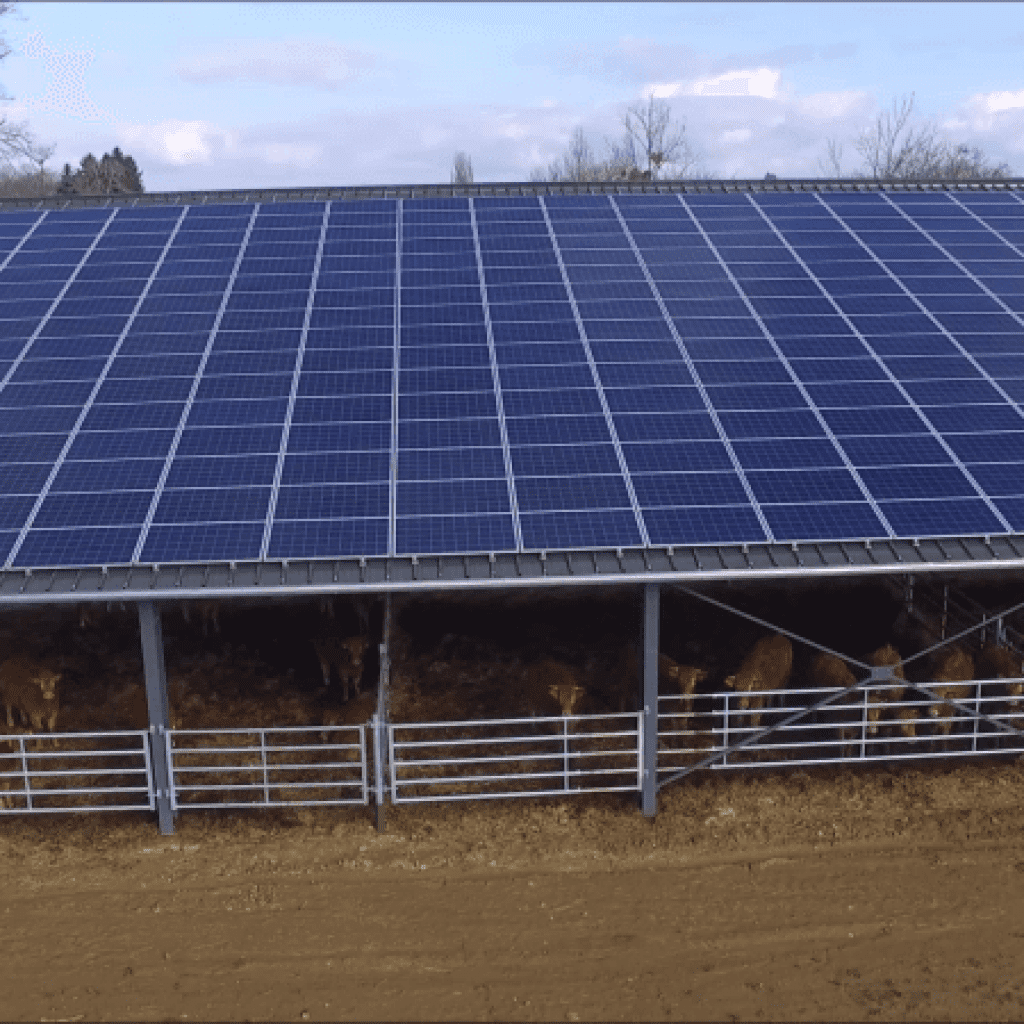 découvrez les avantages des toitures photovoltaïques agricoles : une solution durable pour optimiser la production énergétique de votre exploitation tout en réduisant votre empreinte carbone. investissez dans un avenir plus vert et économisez sur vos factures d'électricité.