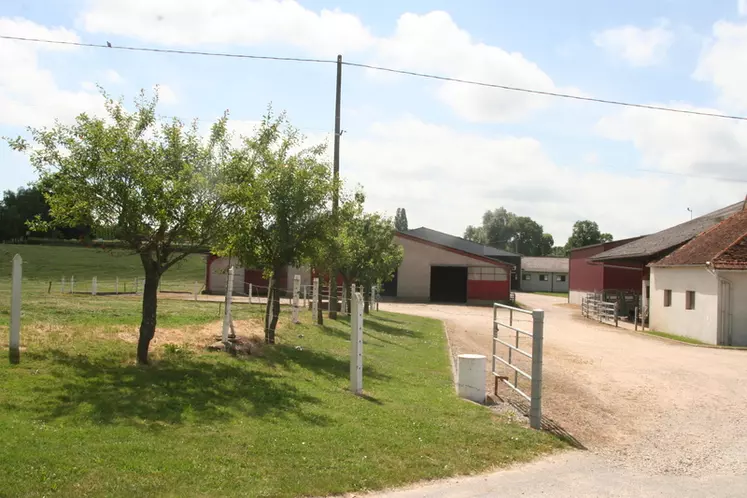 découvrez l'importance de l'intégration paysagère pour harmoniser les espaces urbains et naturels. explorez des solutions innovantes et durables qui valorisent l'environnement tout en répondant aux besoins esthétiques et fonctionnels des lieux.