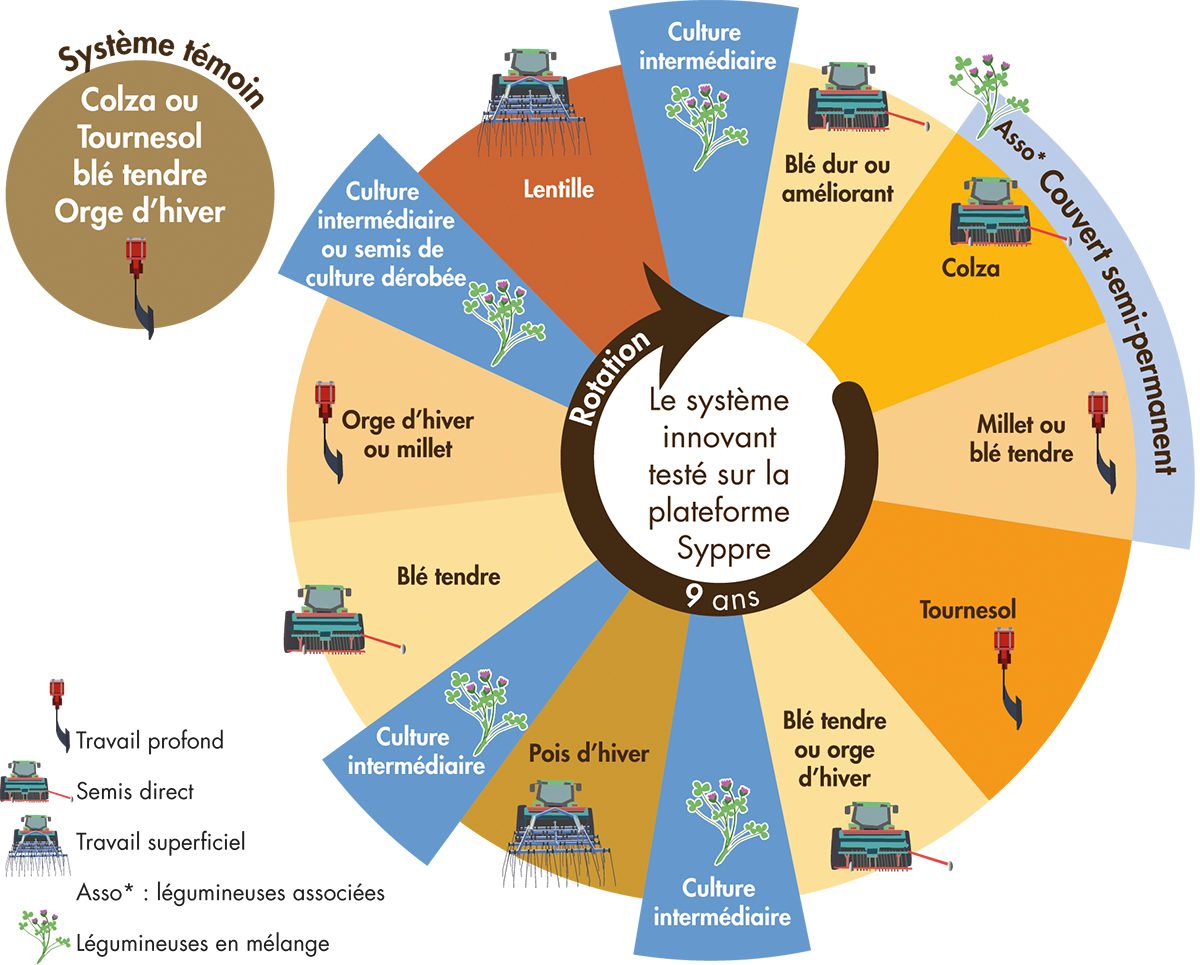 découvrez comment l'adaptation des cultures contribue à la durabilité agricole, en optimisant les pratiques de culture face aux changements climatiques et en préservant la biodiversité. apprenez des stratégies innovantes pour améliorer la résilience des paysages agricoles.
