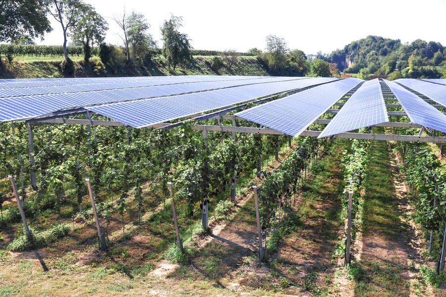découvrez les solutions innovantes pour une agriculture durable grâce à l'agri photovoltaïque. alliant production d'énergie renouvelable et pratiques écologiques, cette approche révolutionnaire contribue à préserver l'environnement tout en soutenant l'agriculture moderne.