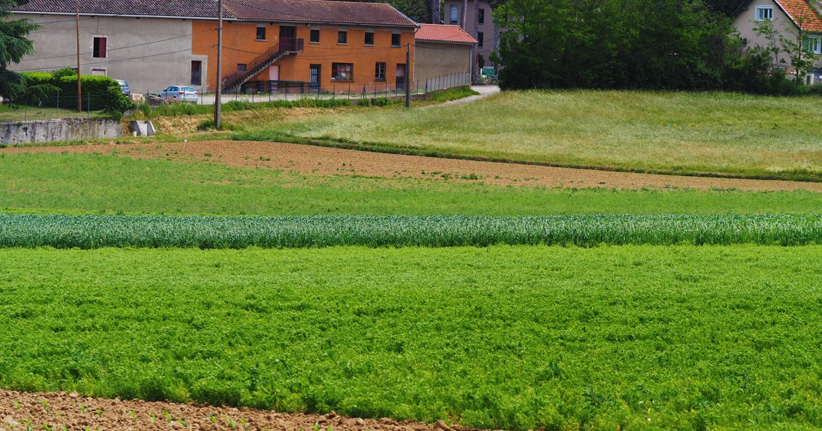 découvrez les principes de l'agriculture durable, une approche innovante qui préserve l'environnement tout en assurant une production alimentaire responsable et éthique. apprenez comment cette méthode favorise la biodiversité, réduit l'empreinte carbone et soutient les agriculteurs locaux.