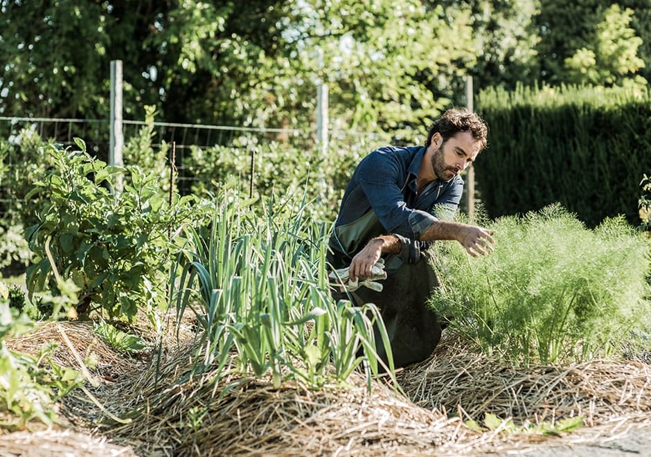 découvrez les pratiques de l'agriculture durable qui préservent l'environnement tout en garantissant une production alimentaire responsable. explorez des méthodes innovantes et respectueuses de la nature pour cultiver des ressources nourrissantes et durables.