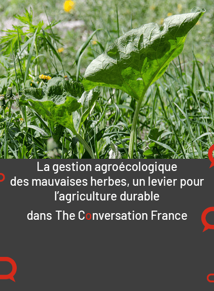 découvrez l'agriculture durable : des pratiques respectueuses de l'environnement qui garantissent la sécurité alimentaire tout en préservant nos ressources naturelles. informez-vous sur les techniques innovantes et les avantages d'un mode de production responsable.