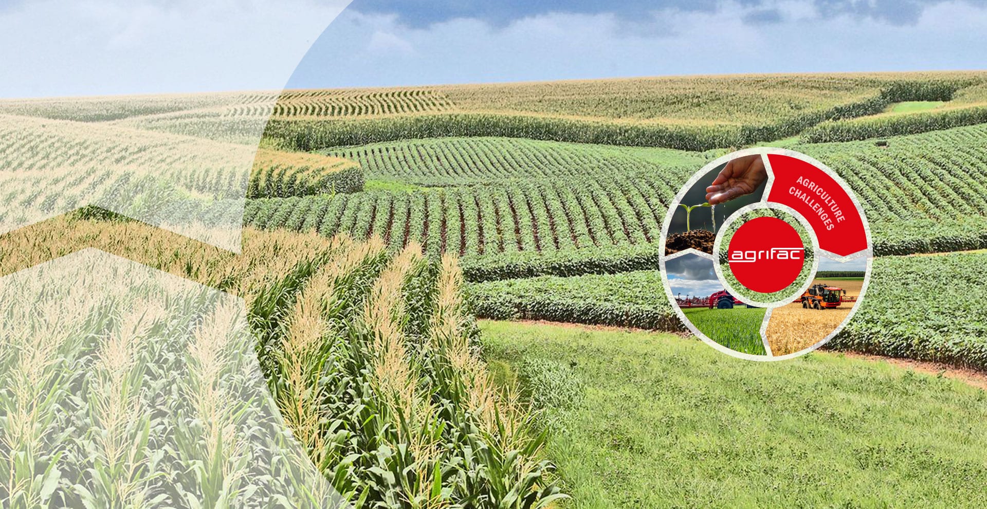 découvrez les principes de l'agriculture durable, une approche innovante qui privilégie la protection de l'environnement, la biodiversité et le bien-être des agriculteurs tout en garantissant une production alimentaire équilibrée et responsable.