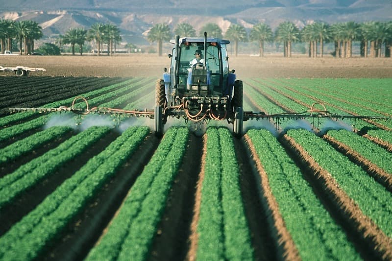 découvrez les principes de l'agriculture durable, une approche innovante visant à préserver l'environnement tout en garantissant la sécurité alimentaire. apprenez comment cette pratique favorise la biodiversité, optimise l'utilisation des ressources naturelles et soutient les communautés agricoles pour un avenir plus vert.