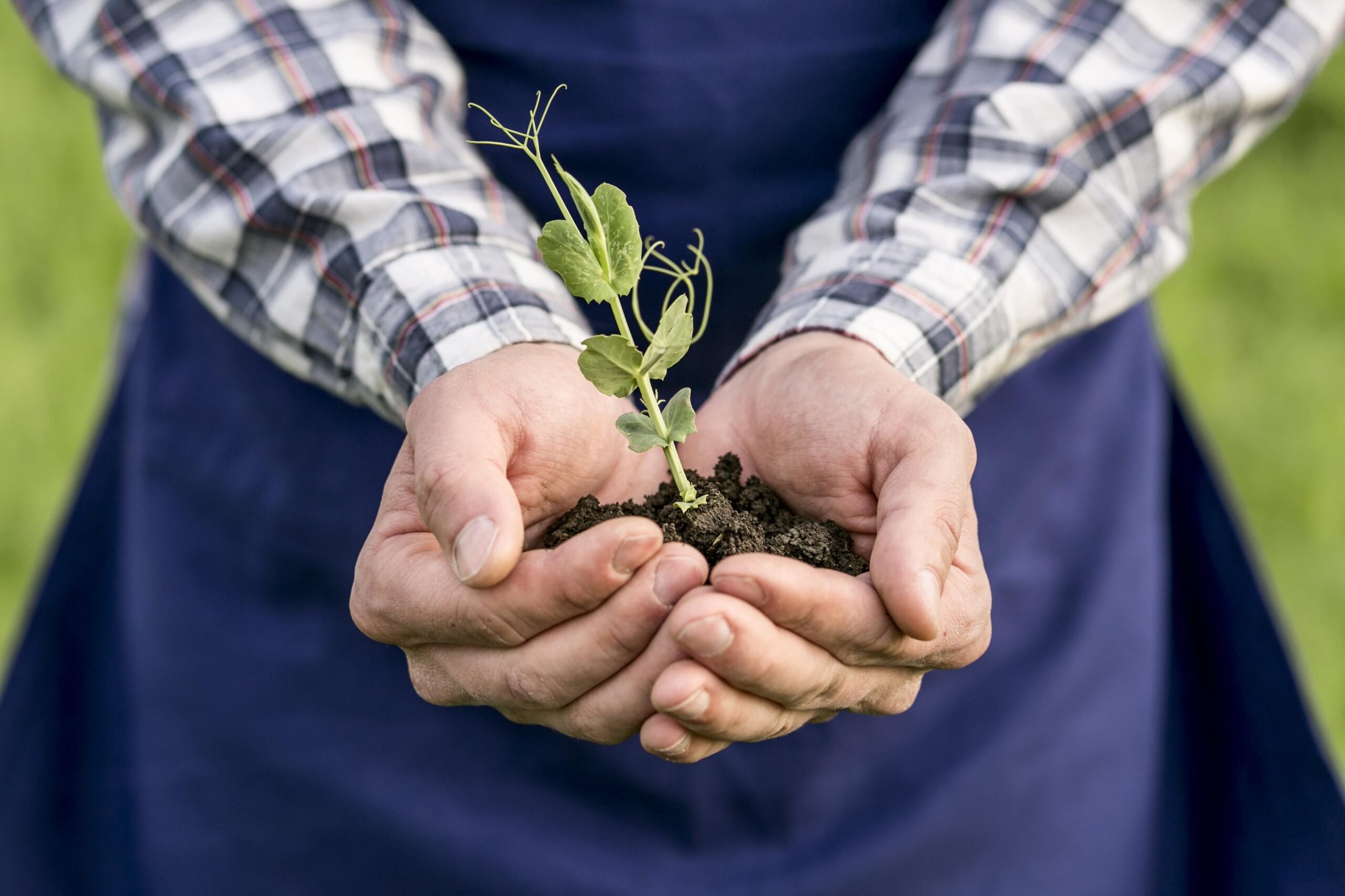 découvrez l'agriculture durable, une approche innovante qui allie respect de l'environnement, bien-être animal et prospérité économique. apprenez comment cette méthode révolutionnaire assure une production alimentaire responsable tout en préservant nos ressources naturelles pour les générations futures.