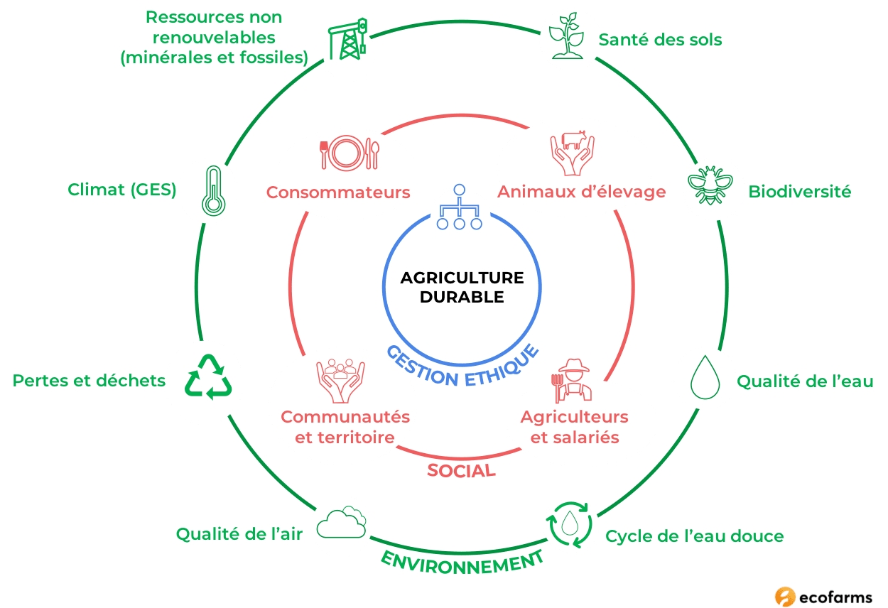 découvrez les principes de l'agriculture durable, un modèle innovant qui préserve les ressources naturelles, améliore la biodiversité et assure une production alimentaire responsable et respectueuse de l'environnement.