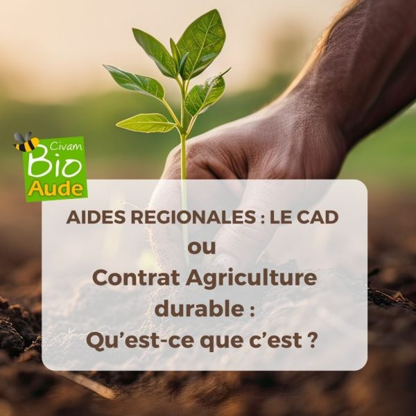 découvrez l'agriculture durable, une pratique qui préserve l'environnement tout en répondant aux besoins alimentaires croissants. apprenez comment cette approche innovante améliore la qualité des sols, protège la biodiversité et favorise le bien-être des agriculteurs.