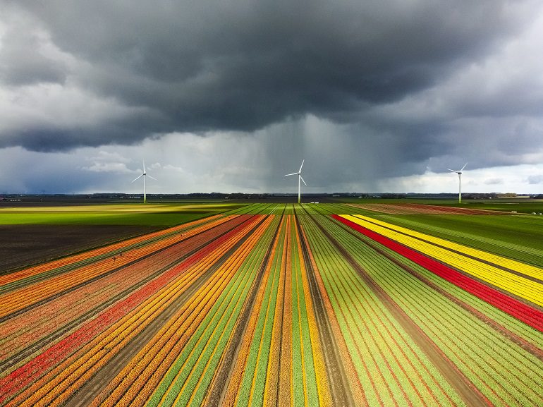 découvrez les pratiques d'agriculture durable qui permettent de cultiver des aliments de manière éco-responsable. apprenez comment protéger l'environnement, optimiser les ressources et soutenir les agriculteurs tout en garantissant des produits sains et de qualité.