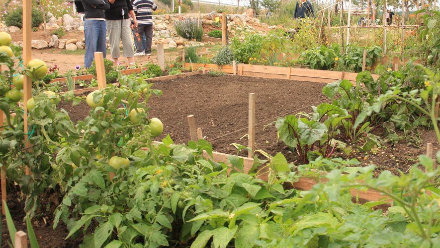 découvrez comment l'agriculture durable transforme nos systèmes alimentaires en favorisant des pratiques respectueuses de l'environnement. explorez les enjeux de l'alimentation responsable et l'impact positif sur notre santé et la planète.