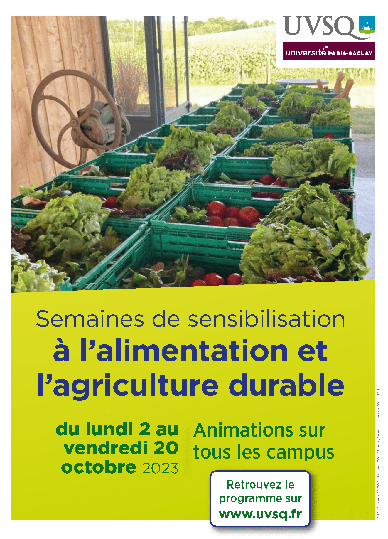 découvrez comment l'agriculture durable transforme nos pratiques agricoles pour garantir une alimentation saine et respectueuse de l'environnement. explorez les enjeux, les méthodes et les innovations qui favorisent une chaîne alimentaire responsable et durable.