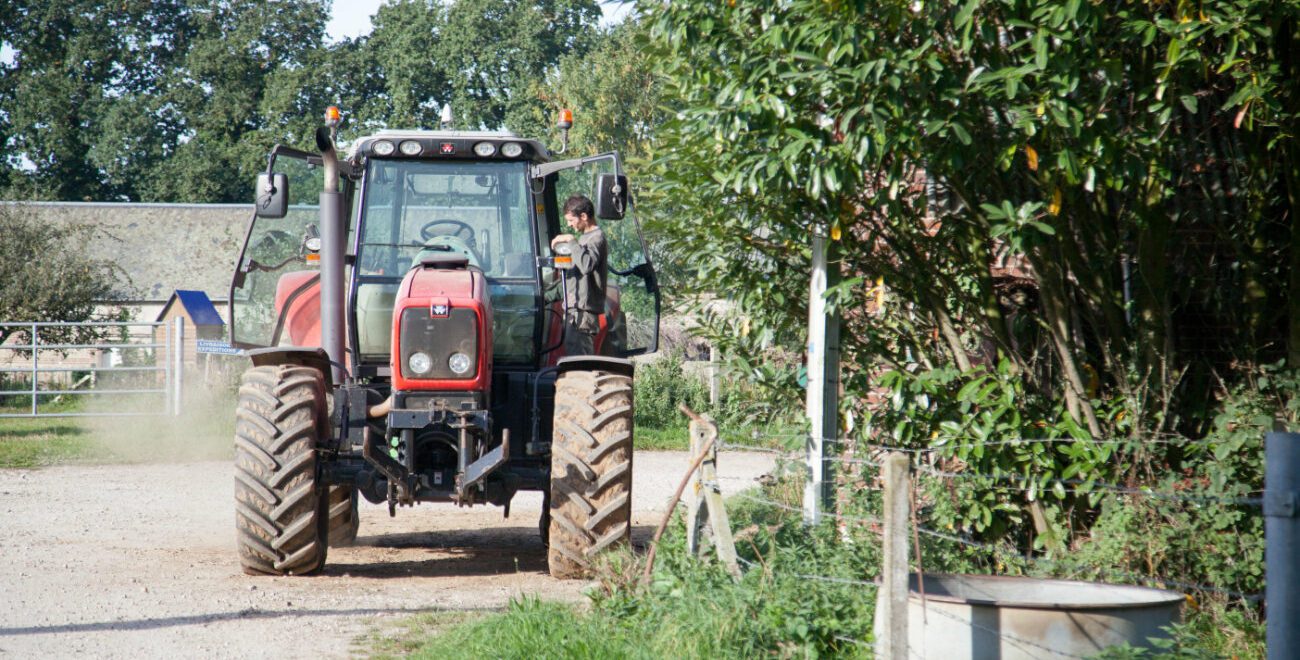 découvrez comment l'agriculture durable contribue à la préservation de l'environnement, en intégrant des pratiques respectueuses et innovantes pour un avenir plus vert et plus sain.