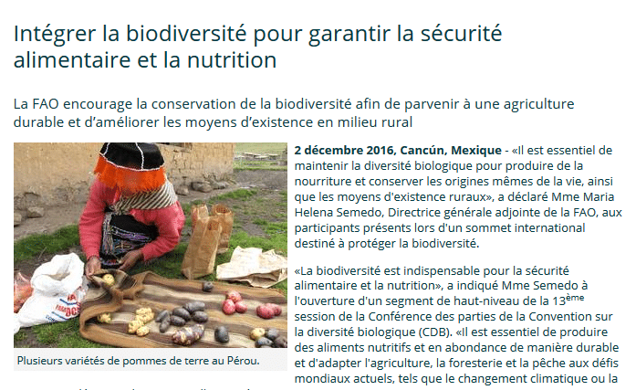 découvrez comment l'agriculture durable contribue à assurer la sécurité alimentaire mondiale, en préservant les ressources naturelles tout en répondant aux besoins croissants des populations.