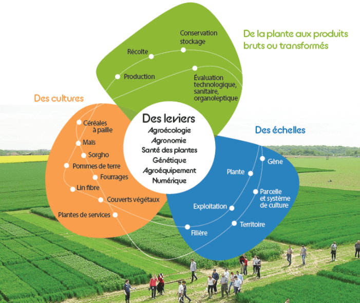 découvrez comment l'agriculture durable et les technologies vertes révolutionnent notre approche de l'agriculture, en favorisant la préservation de l'environnement tout en garantissant des récoltes productives et saines.