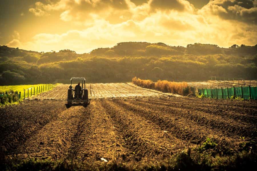 découvrez comment l'agriculture durable et les technologies vertes façonnent un avenir respectueux de l'environnement. explorez des pratiques innovantes qui allient production alimentaire et préservation des ressources naturelles.