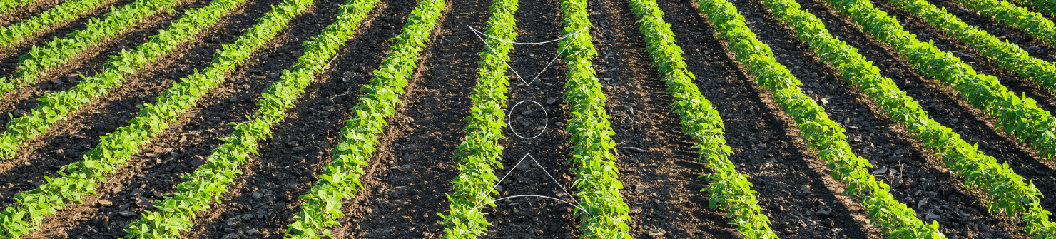 découvrez comment l'agriculture durable et les technologies vertes révolutionnent nos pratiques agricoles. explorez des solutions innovantes qui préservent l'environnement tout en garantissant des récoltes prospères et responsables.