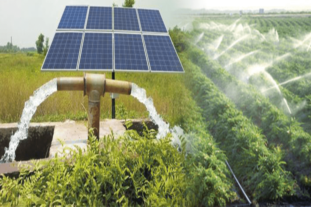 découvrez les avantages de l'agriculture durable solaire, une solution innovante qui allie production agricole respectueuse de l'environnement et utilisation des énergies renouvelables. optimisez vos cultures tout en préservant la planète grâce à des techniques durables et énergétiquement responsables.