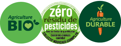 découvrez les principes de l'agriculture durable, une approche respectueuse de l'environnement qui favorise la biodiversité, optimise l'utilisation des ressources et soutient les communautés locales tout en garantissant une production alimentaire responsable et pérenne.