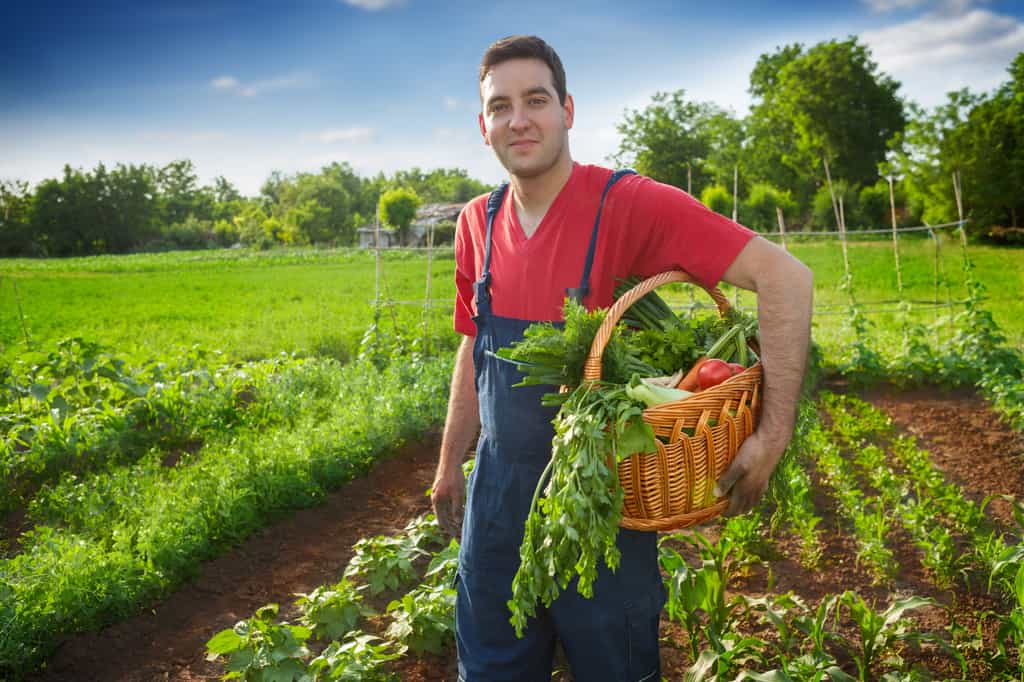 découvrez les pratiques de l'agriculture écologique, une approche durable qui préserve l'environnement tout en vous offrant des aliments sains et savoureux. apprenez comment soutenir une agriculture respectueuse de la nature et contribuer à un avenir plus vert.