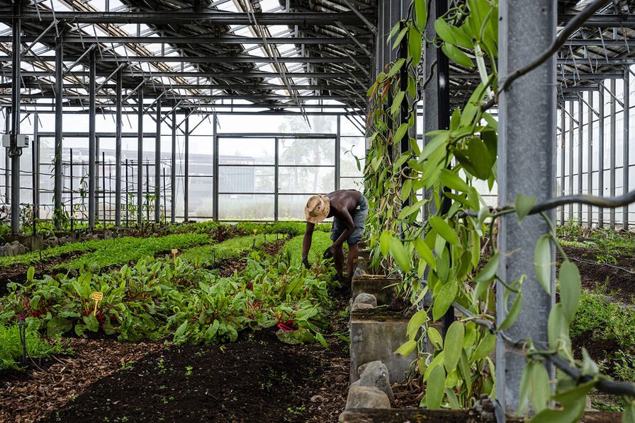 découvrez l'agriculture éthique et solaire, une approche durable qui combine pratiques respectueuses de l'environnement et énergies renouvelables pour cultiver nos aliments tout en préservant la planète.