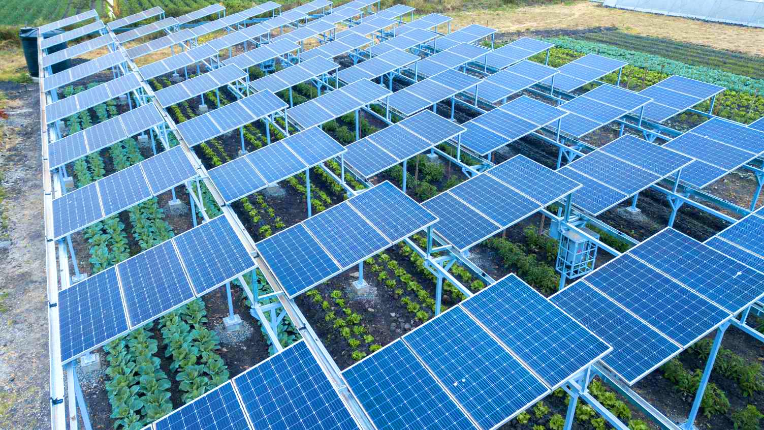 découvrez les avantages de l'agriculture photovoltaïque, une solution innovante qui combine production agricole et énergie solaire pour une agriculture durable et respectueuse de l'environnement.
