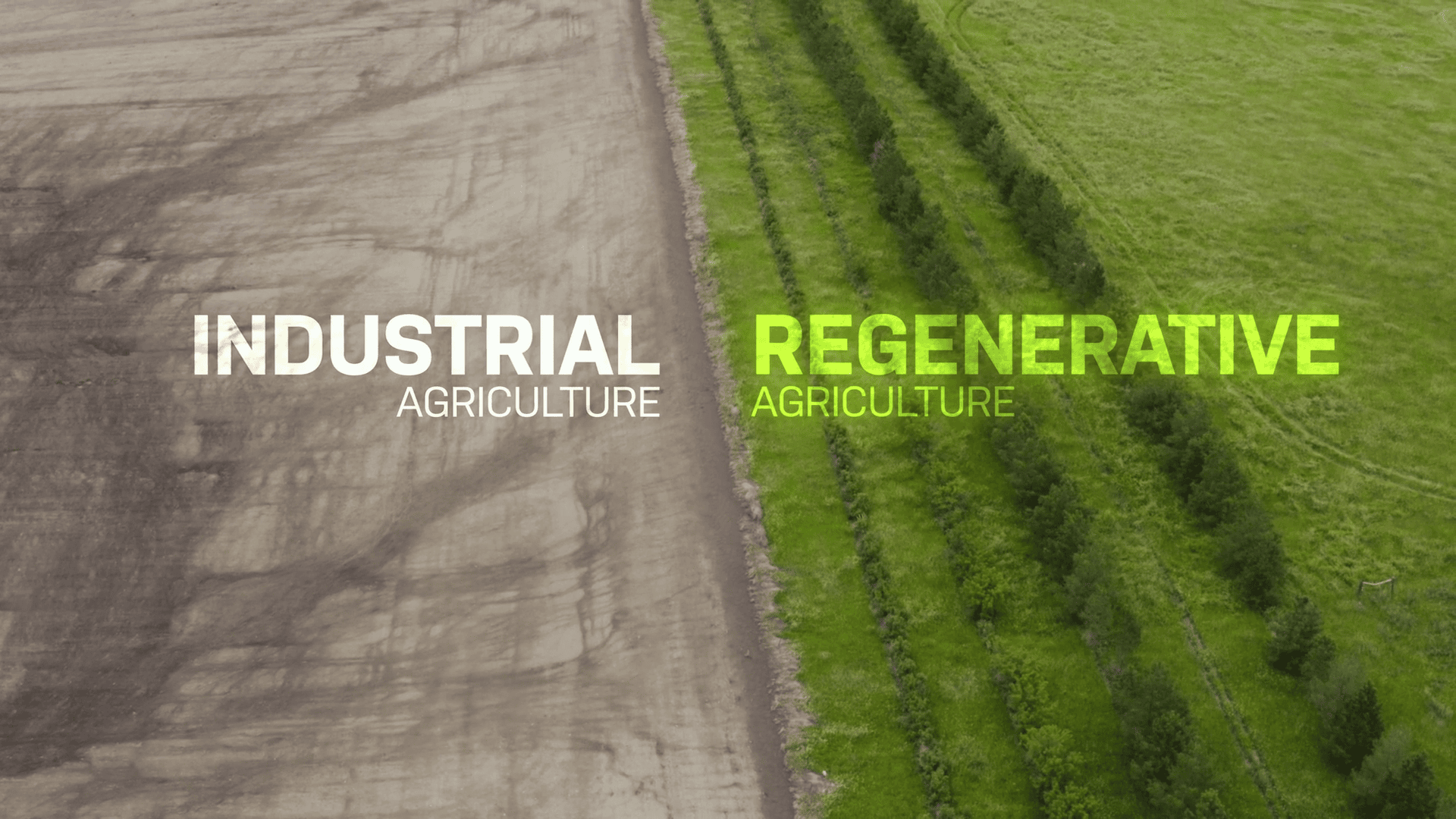 découvrez comment l'agriculture régénérative et les technologies innovantes se combinent pour préserver notre planète tout en améliorant la productivité des cultures. plongez dans des pratiques durables qui favorisent la biodiversité et la santé des sols.