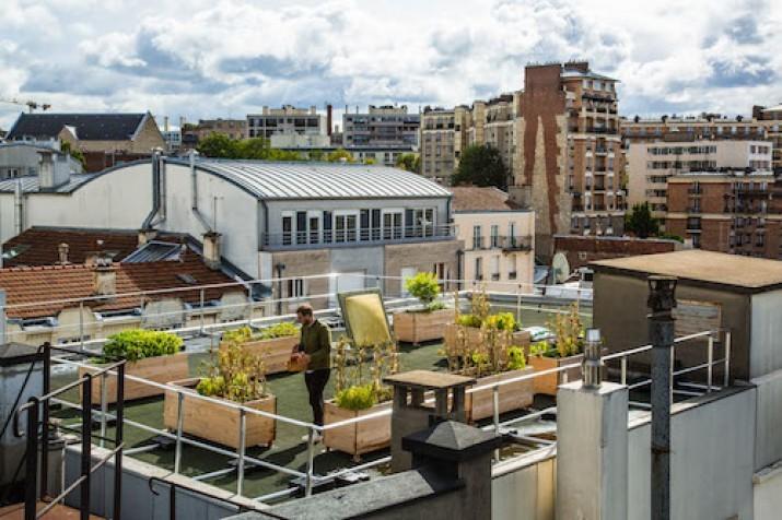 découvrez l'agriculture urbaine durable, une approche innovante qui transforme nos villes en espaces verts productifs pour une alimentation locale, une biodiversité préservée et une réduction de l'empreinte carbone. engagez-vous dans une agriculture respectueuse de l'environnement et apprenez à cultiver sainement en milieu urbain.