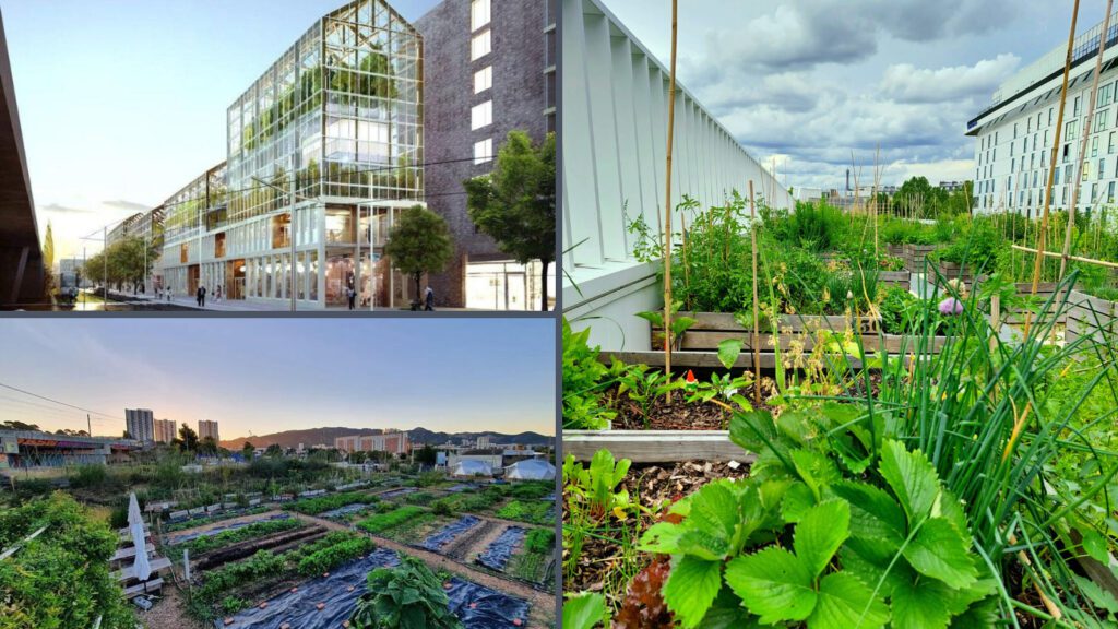 découvrez l'agriculture urbaine durable, une pratique innovante qui allie respect de l'environnement et production alimentaire en milieu urbain. transformez vos espaces citadins en potagers productifs et contribuez à un avenir plus vert.