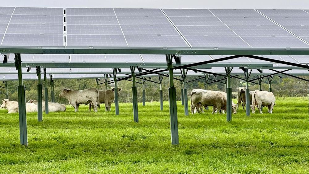 découvrez l'agrivoltaïsme durable, une solution innovante qui allie agriculture et production d'énergie solaire. ce système permet d'optimiser l'utilisation des terres, de préserver l'environnement et de promouvoir une agriculture responsable, tout en contribuant à la transition énergétique.