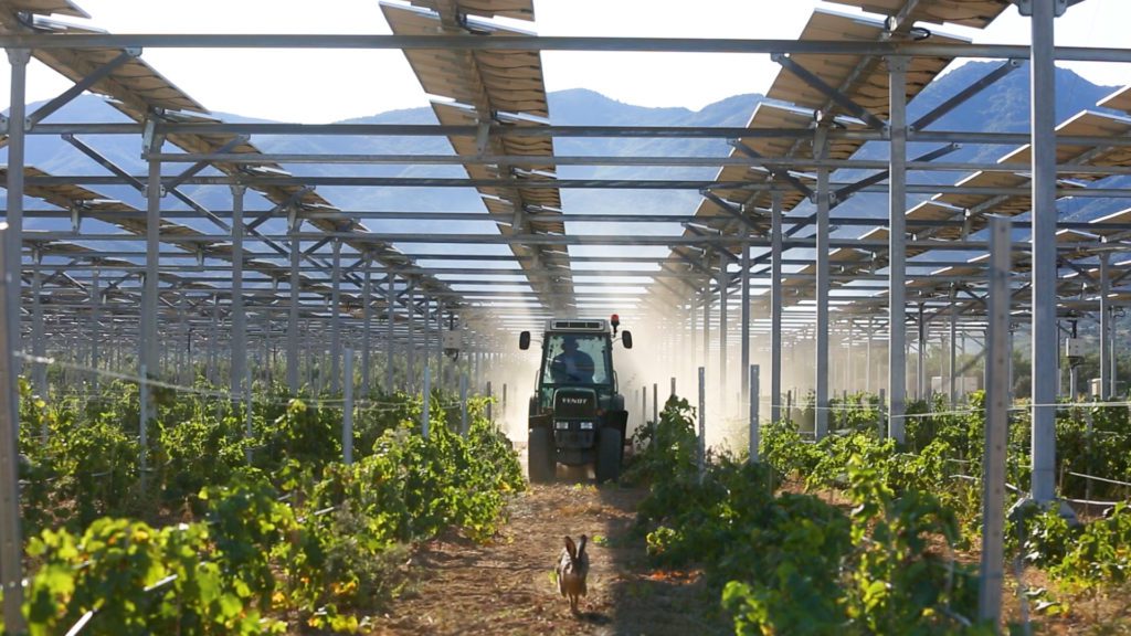 découvrez l'agrivoltaïsme durable, une approche innovante qui allie production agricole et énergie solaire. apprenez comment cette méthode optimise l'utilisation des terres, réduit l'empreinte carbone et contribue à une agriculture respectueuse de l'environnement tout en soutenant la transition énergétique.