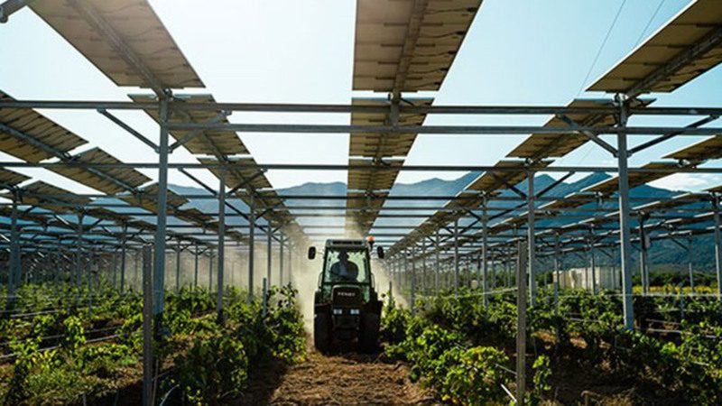 découvrez l'agrivoltaïsme durable, une synergie innovante entre agriculture et production d'énergie solaire. optimisez vos terres tout en préservant l'environnement grâce à des solutions écologiques et rentables.