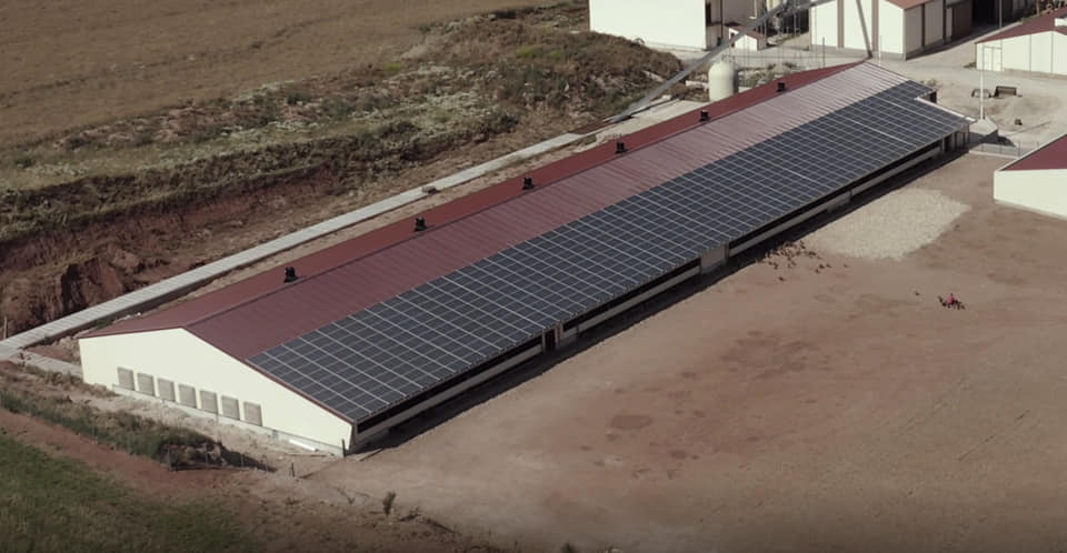 découvrez agriwatt, votre partenaire pour une agriculture durable. optimisez vos pratiques agricoles grâce à des solutions innovantes et respectueuses de l'environnement. rejoignez le mouvement vers une agriculture plus verte et productive.