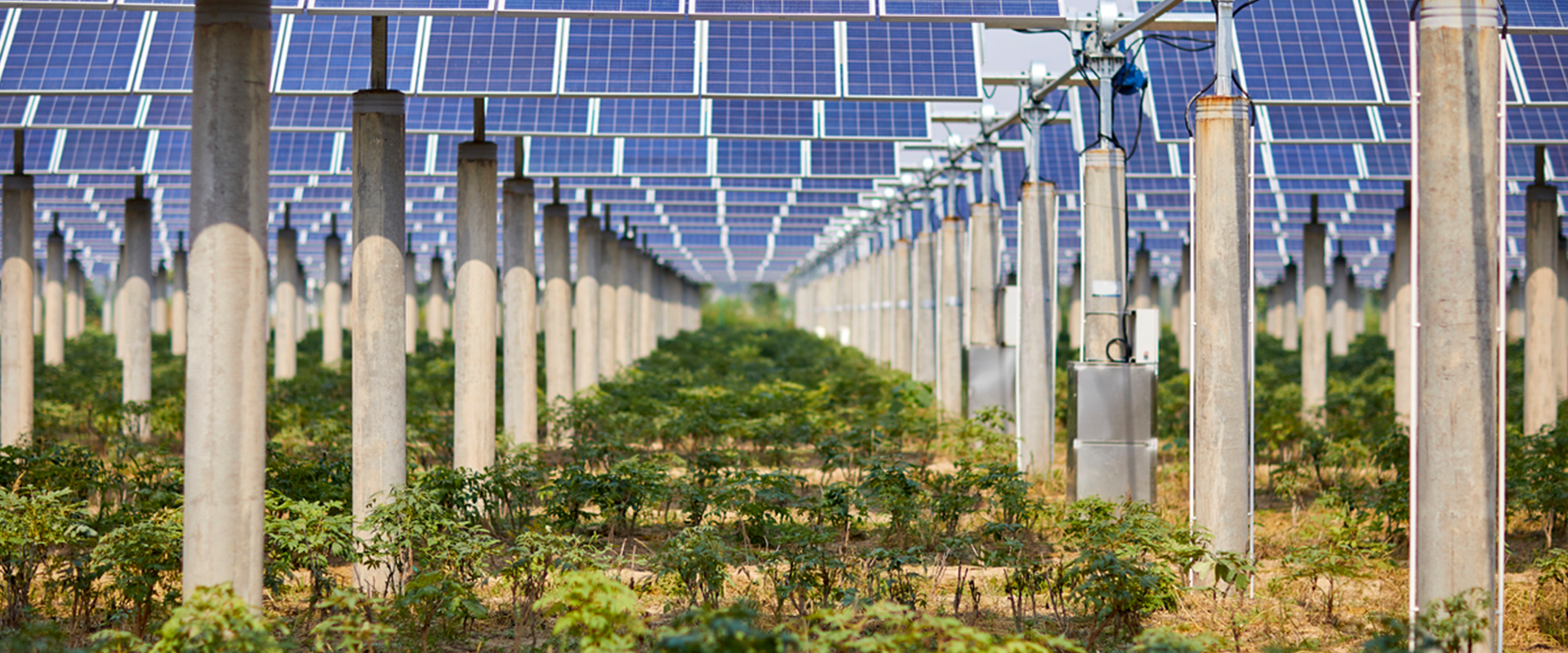 découvrez agriwatt, votre solution pour une agriculture durable. optimisez vos pratiques agricoles grâce à des technologies innovantes et respectueuses de l'environnement. rejoignez le mouvement vers une agriculture responsable et performante.