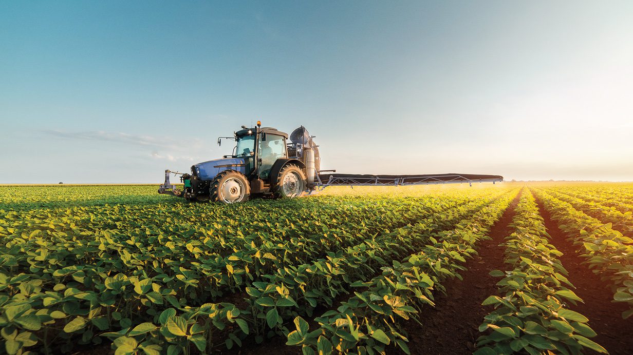 découvrez comment l'agroinnovation transforme l'agriculture durable en alliant technologies modernes et pratiques respectueuses de l'environnement. explorez des solutions innovantes pour une production alimentaire responsable et durable.