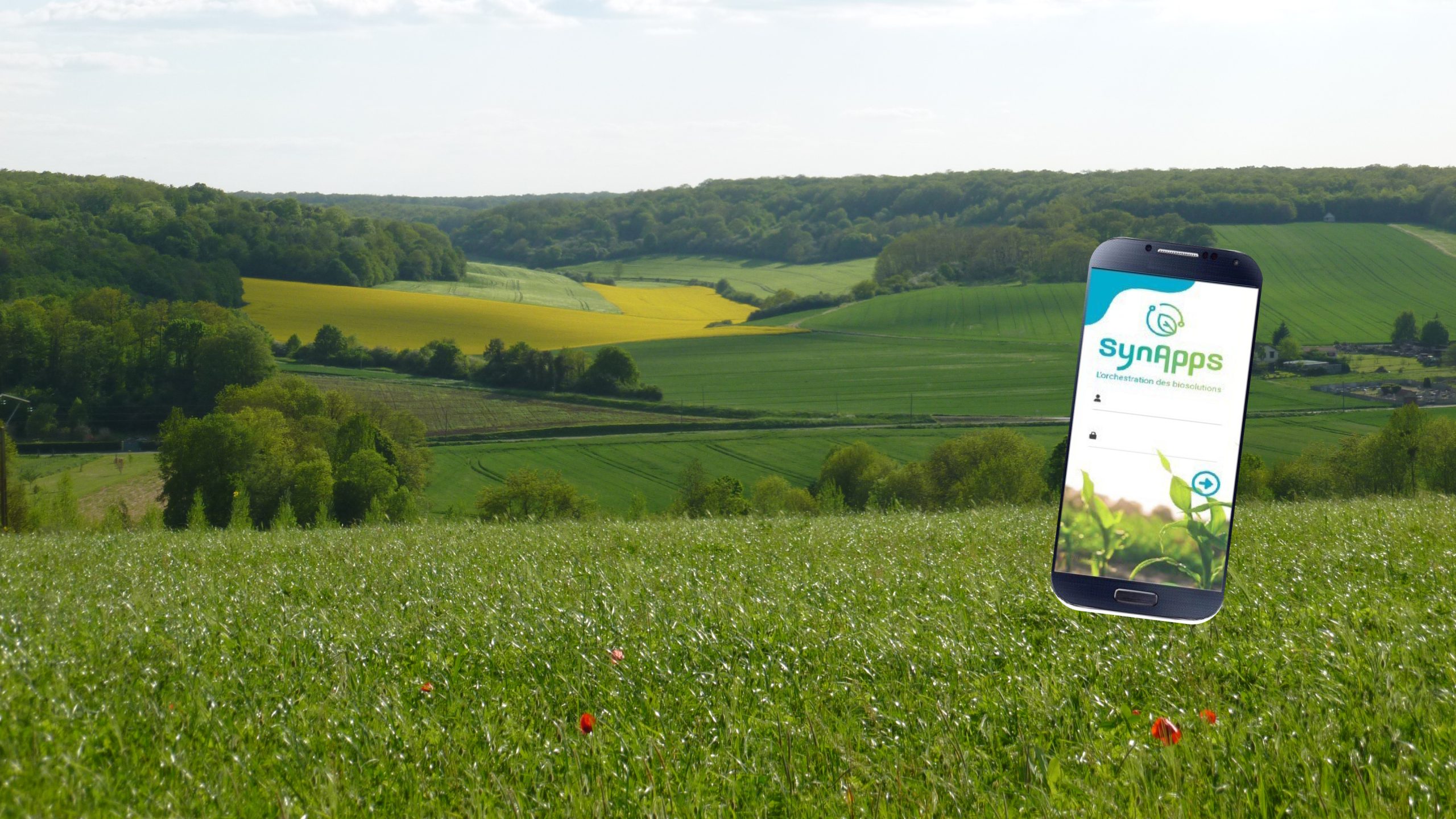 découvrez comment agroinnovant révolutionne l'agriculture durable grâce à des pratiques innovantes et respectueuses de l'environnement. rejoignez le mouvement vers une agriculture plus verte et responsable.