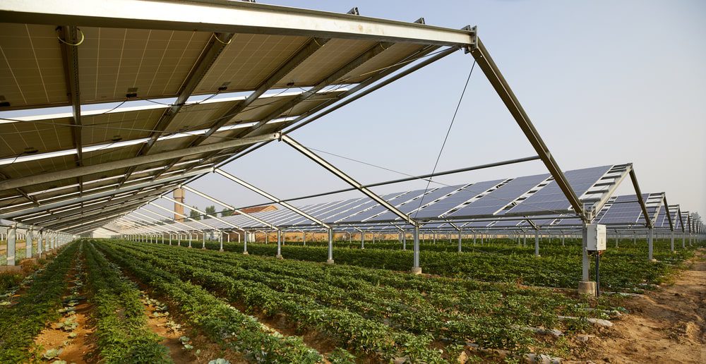 découvrez comment l'autonomisation énergétique dans l'agriculture transforme les pratiques agricoles en réduisant la dépendance énergétique, en optimisant les ressources et en favorisant un développement durable pour les exploitations agricoles.