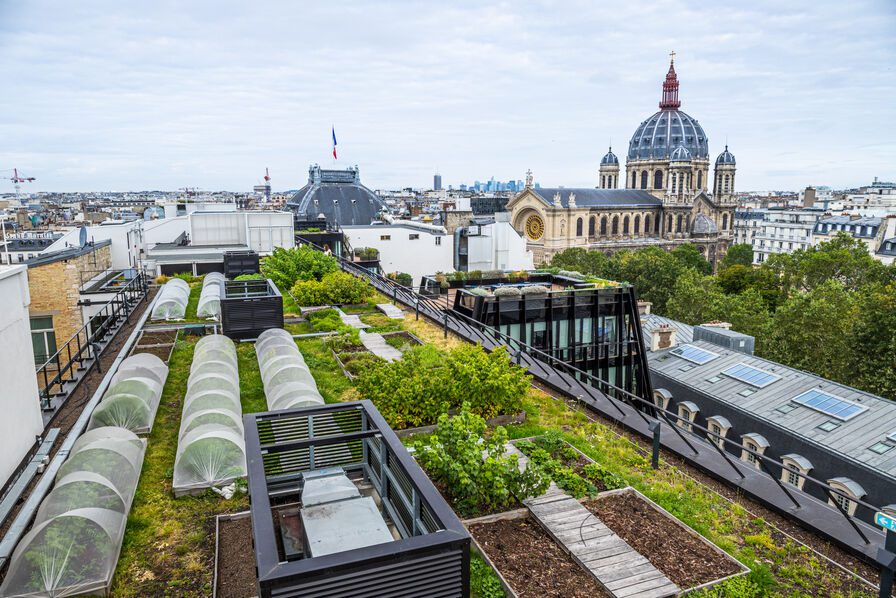 découvrez les nombreux avantages de l'agriculture urbaine, qui favorise la biodiversité, réduit l'empreinte carbone, renforce la sécurité alimentaire et améliore la qualité de vie en milieu urbain. apprenez comment cette pratique innovante transforme nos villes en espaces durables et résilients.