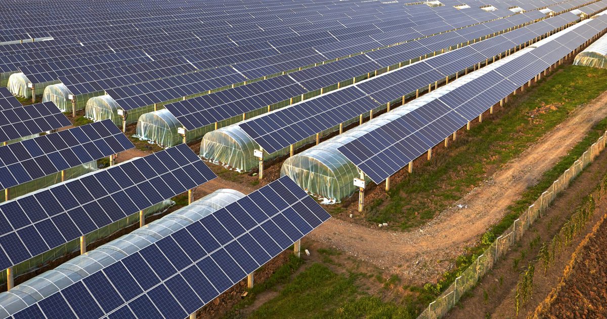 découvrez les nombreux avantages des bâtiments agricoles photovoltaïques : une solution durable pour optimiser la production d'énergie, réduire les coûts d'exploitation et contribuer à la transition écologique tout en préservant l'intégrité de vos cultures.