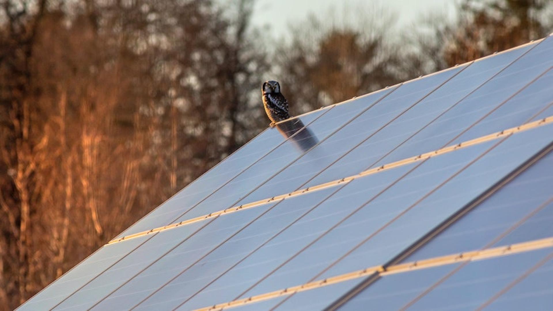 découvrez les avantages et inconvénients des systèmes photovoltaïques dans le secteur agricole. cette analyse approfondie explore les bénéfices économiques, environnementaux et les défis associés à l'intégration de l'énergie solaire sur les exploitations agricoles.