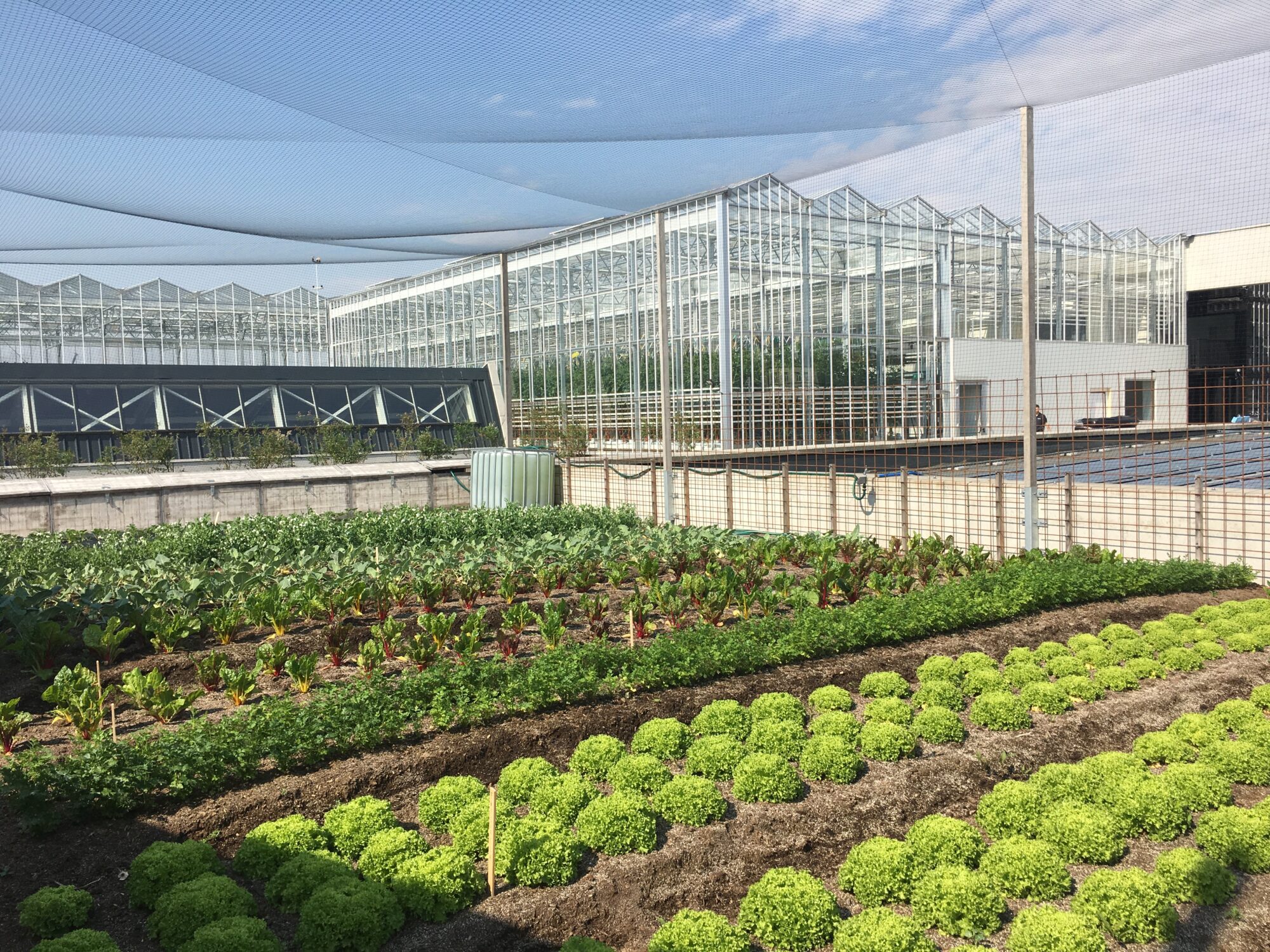 découvrez les nombreux avantages d'un toit vert sur votre hangar agricole. améliorez l'isolation thermique, réduisez les coûts énergétiques, favorisez la biodiversité et contribuez à la durabilité environnementale tout en optimisant l'espace de votre exploitation. adoptez une solution écologique pour vos bâtiments agricoles !