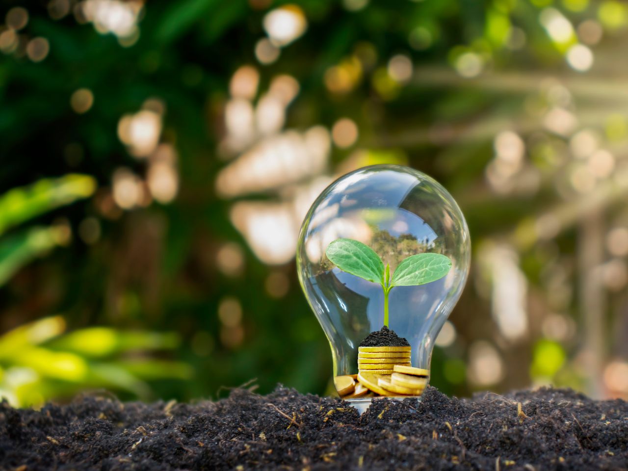 découvrez comment bâtir un avenir durable grâce à des pratiques respectueuses de l'environnement, des innovations écologiques et un mode de vie responsable. engagez-vous pour un futur meilleur !