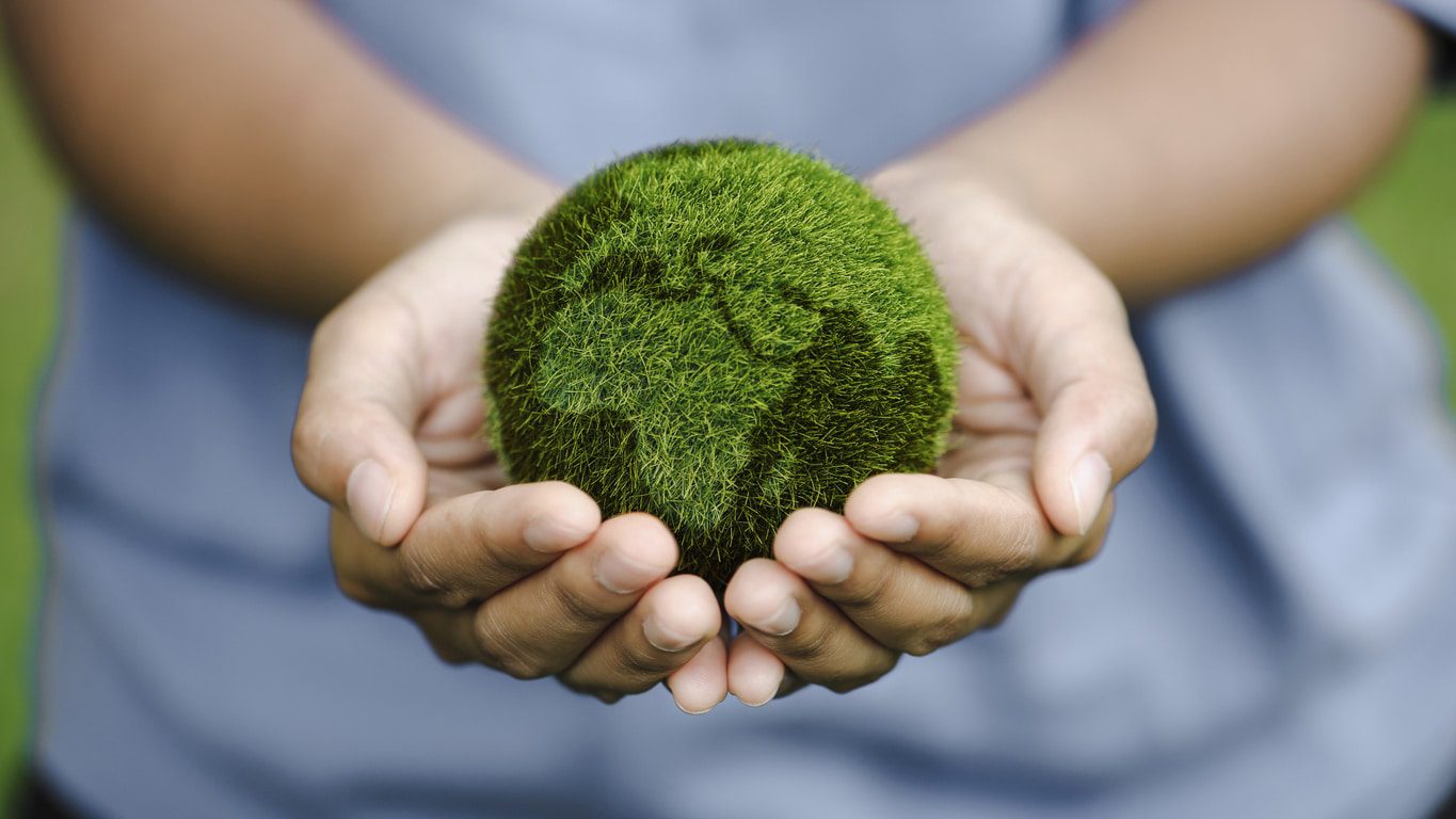 découvrez des stratégies et des solutions pour un avenir durable. explorez des idées innovantes et des pratiques respectueuses de l'environnement qui visent à préserver notre planète pour les générations futures.