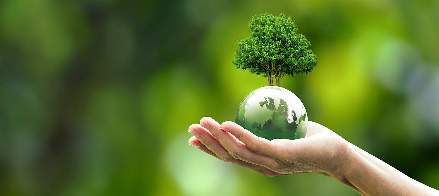 découvrez comment construire un avenir durable grâce à des pratiques écologiques, des innovations responsables et un engagement collectif pour préserver notre planète pour les générations futures.