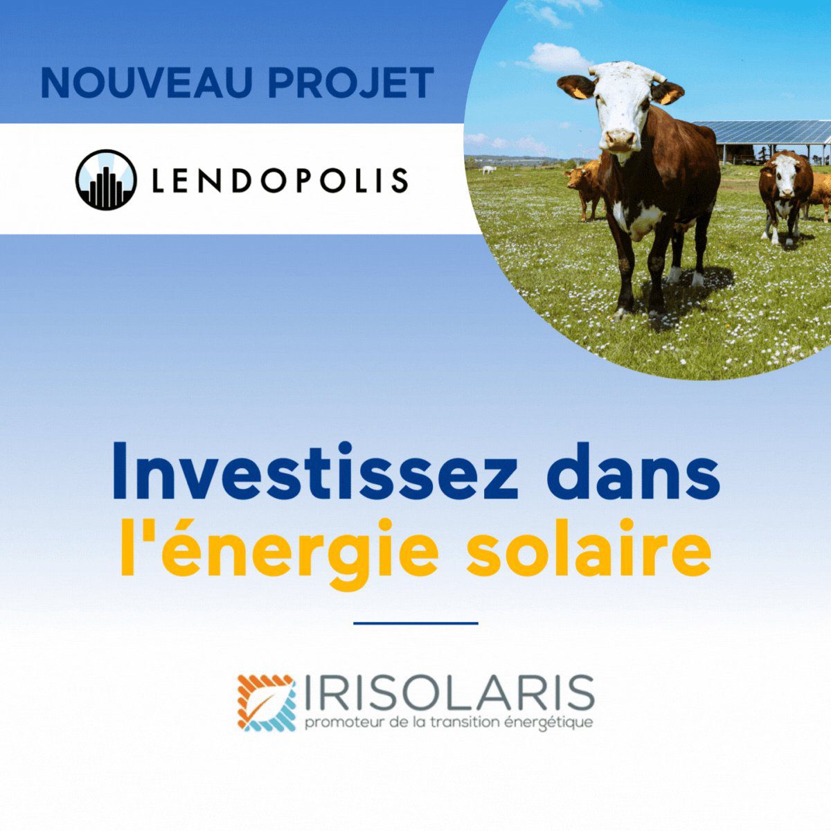 découvrez les avis sur irisolaris, une plateforme innovante dédiée à l'énergie solaire. lisez les retours d'expérience, les témoignages d'utilisateurs et les opinions sur ses services, pour un choix éclairé sur vos projets d'énergie renouvelable.