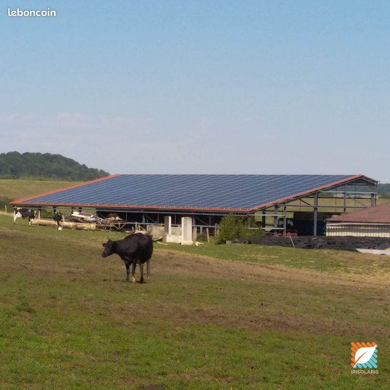 découvrez les avis sur irisolaris, une solution innovante pour l'énergie solaire. lisez les retours d'expérience des utilisateurs, évaluez les avantages et les inconvénients de ce service, et trouvez des conseils pour optimiser votre transition énergétique.