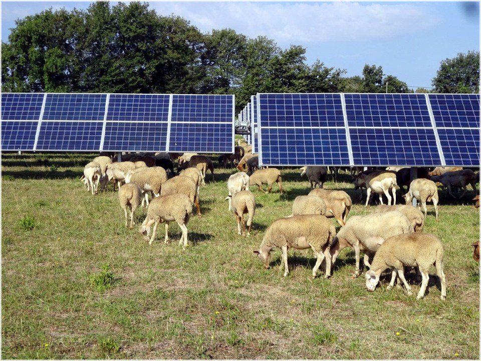 découvrez notre analyse détaillée sur arkolia : avantages, inconvénients, témoignages d'utilisateurs et performances. obtenez toutes les informations nécessaires pour faire le bon choix concernant vos solutions d'énergie renouvelable.