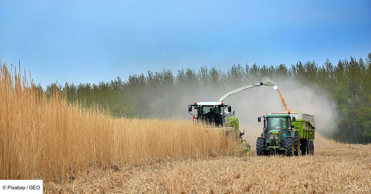 découvrez comment concevoir un bâtiment agricole durable, alliant performance écologique et efficacité économique. explorez des solutions innovantes et respectueuses de l'environnement pour optimiser votre exploitation tout en préservant la biodiversité.