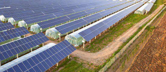 découvrez comment un bâtiment agricole photovoltaïque peut transformer votre exploitation en une source d'énergie durable et efficace. profitez d'une solution innovante qui allie agriculture et énergies renouvelables, tout en réduisant vos coûts et en préservant l'environnement.