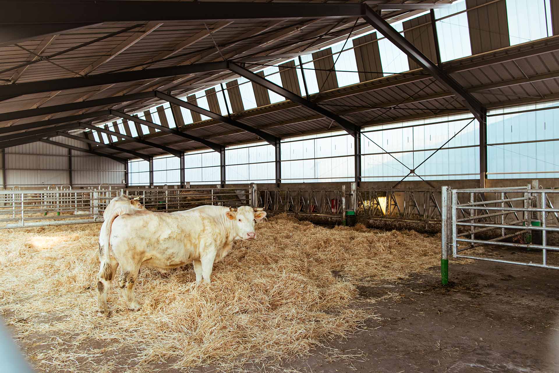 découvrez comment bénéficier d'un bâtiment photovoltaïque gratuit pour optimiser votre consommation d'énergie et réduire vos factures. profitez des avantages de l'énergie solaire sans investissement initial!
